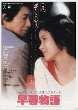 赘婿之吉兴高照 电影海报