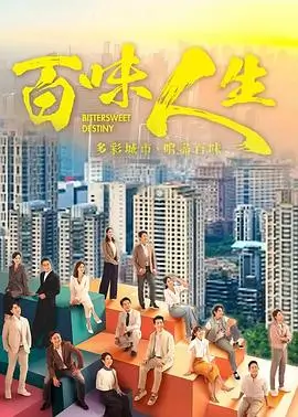 赘婿 电视剧海报
